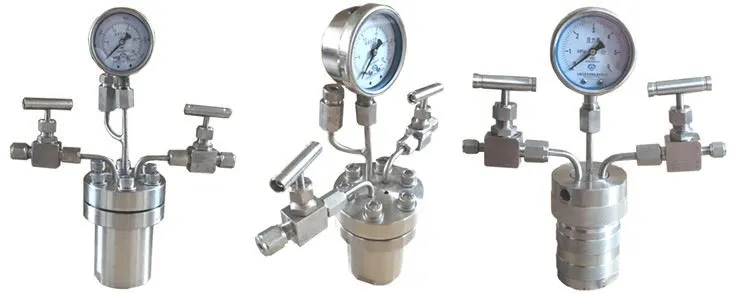 25ml Hydrothermal Synthesis Autoclave Reactor, High Pressure Digestion Tank