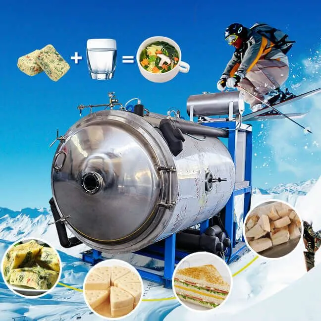 0.7m2 Vacuum Freeze Dryer