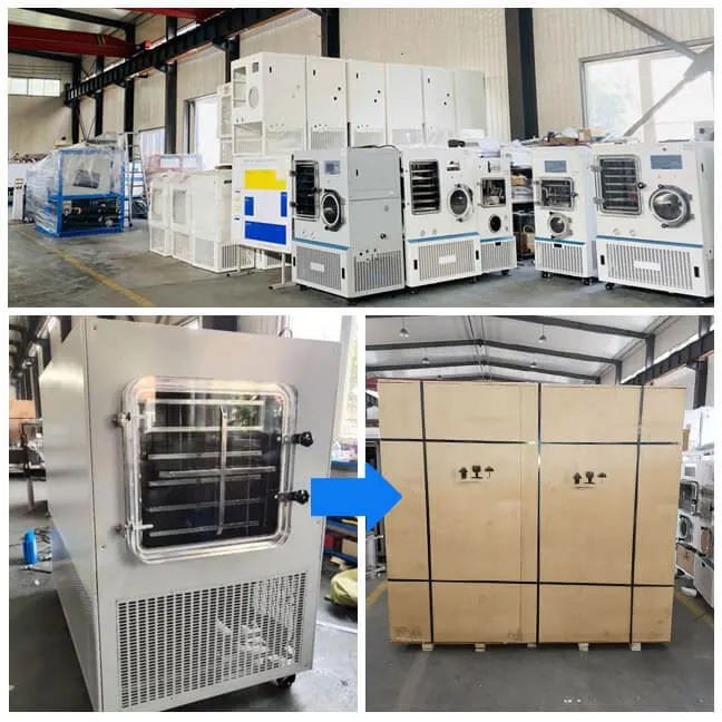 0.7m2 Vacuum Freeze Dryer